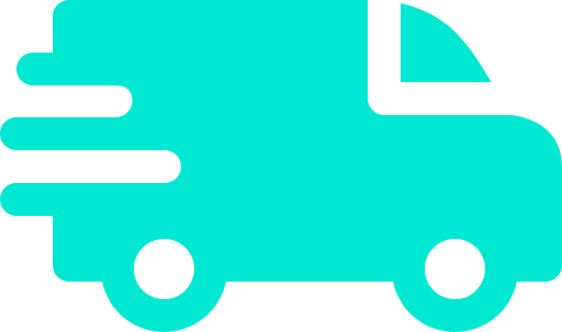 Fast Delivery